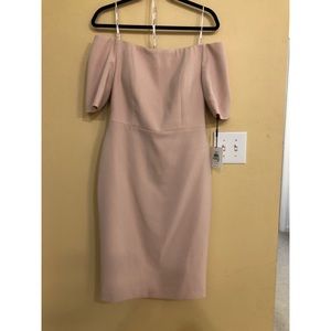 Calvin Klein blush dress